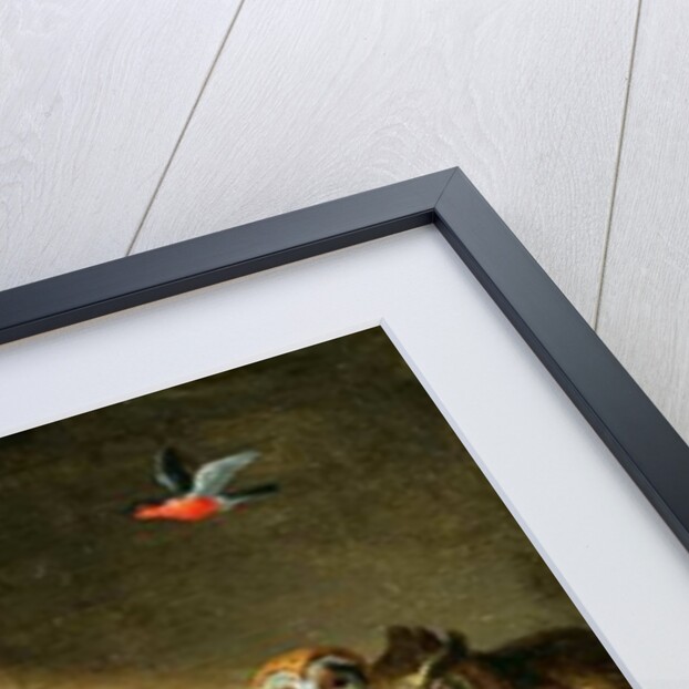 A Family of Owls, other Birds and a Cat by Jan van the Elder Kessel