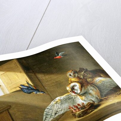 A Family of Owls, other Birds and a Cat by Jan van the Elder Kessel