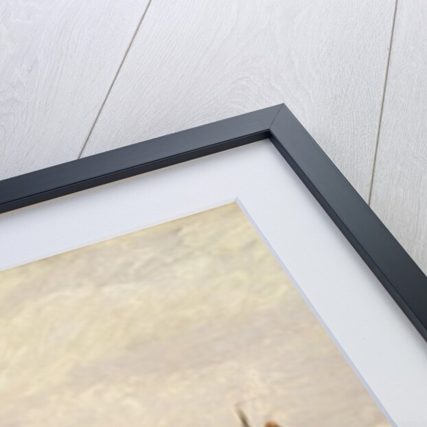 The Outer Harbour at Zaandam, 1871 by Claude Monet