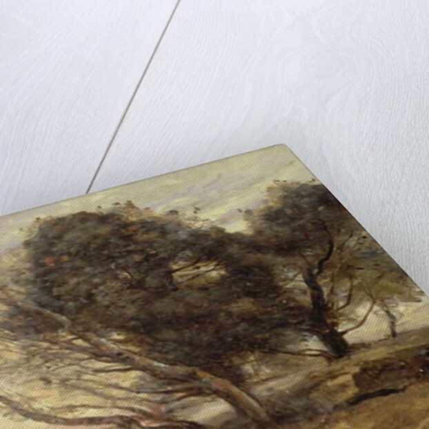 The Banks of the Lake after the Flood, c.1870 by Jean Baptiste Camille Corot