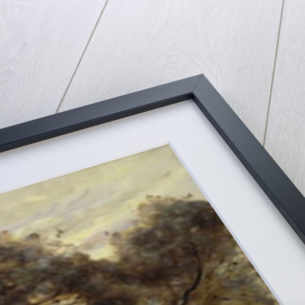 The Banks of the Lake after the Flood, c.1870 by Jean Baptiste Camille Corot