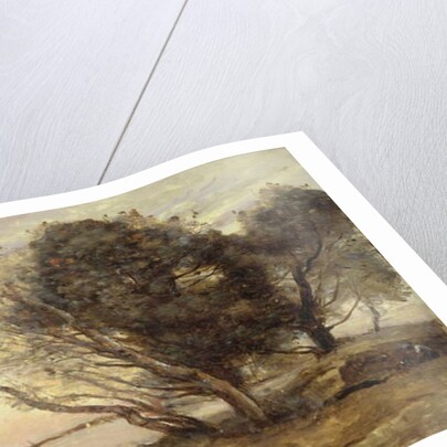 The Banks of the Lake after the Flood, c.1870 by Jean Baptiste Camille Corot