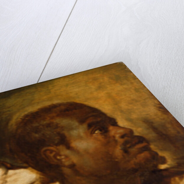 Four Studies of Male Head, c.1617-1620 by Peter Paul Rubens