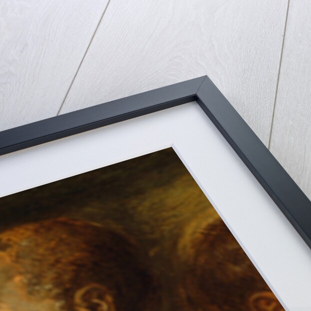 Four Studies of Male Head, c.1617-1620 by Peter Paul Rubens