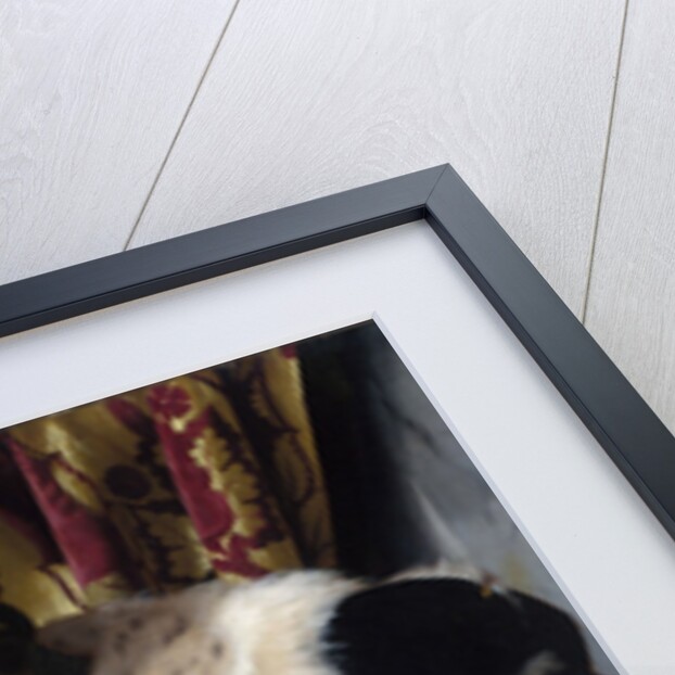 Portrait of a Young Man, c.1542 by Alessandro Bonvicino Moretto