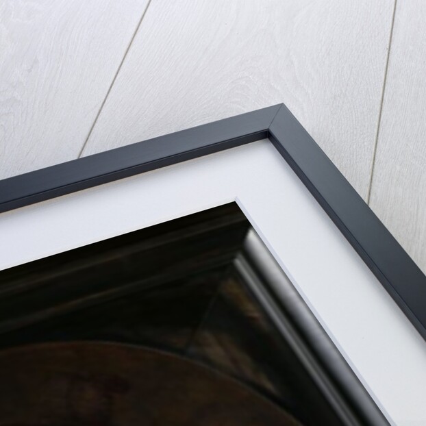 Young Woman in Fantasy Costume, 1633 by Rembrandt Harmensz. van Rijn