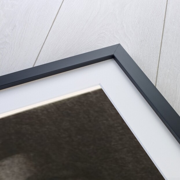 Self-portrait etching at a window, 1648 by Rembrandt Harmensz. van Rijn