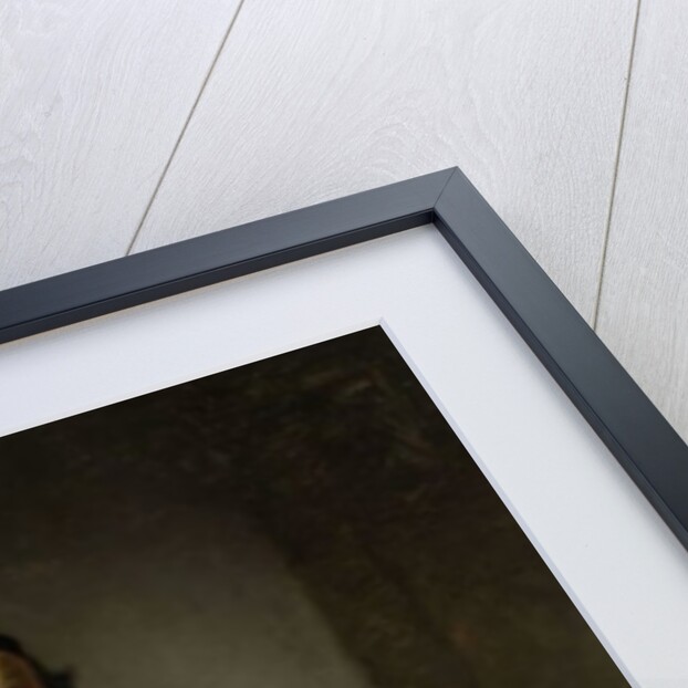 Portrait of Johannes Wtenbogaert, 1633 by Rembrandt Harmensz. van Rijn