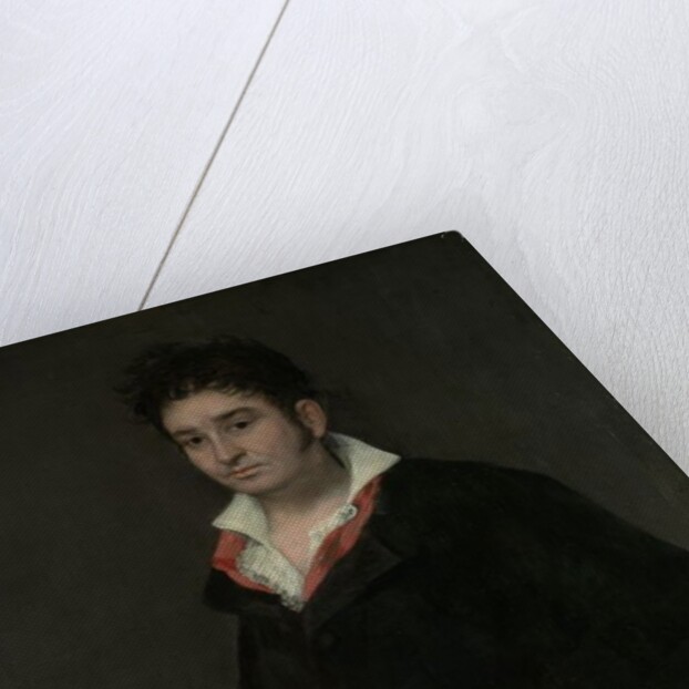 Portrait of Don Ramon Satue, 1823 by Francisco Jose de Goya y Lucientes