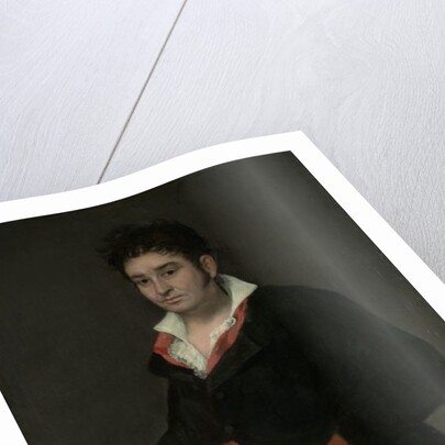 Portrait of Don Ramon Satue, 1823 by Francisco Jose de Goya y Lucientes