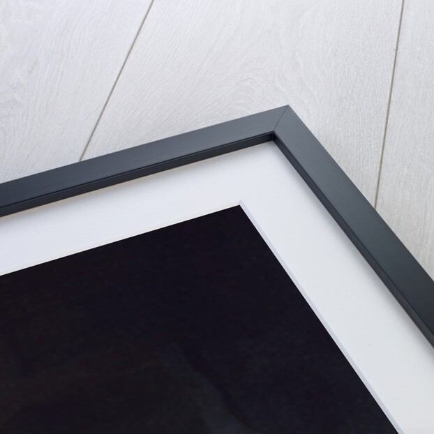 Anna and the Blind Tobit, c.1630 by Rembrandt Harmensz. van Rijn