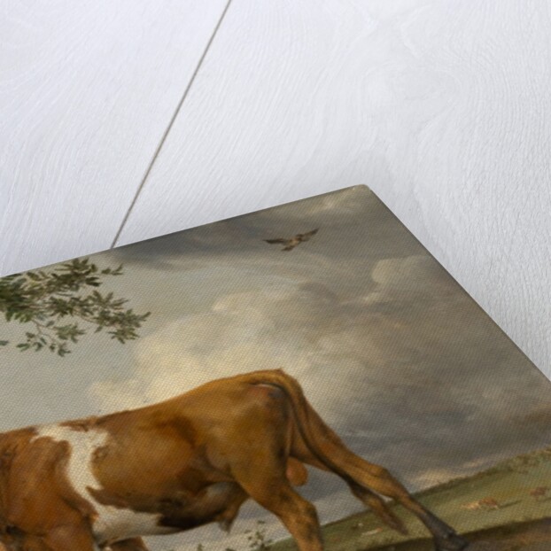 The Bull, 1647 by Paulus Potter