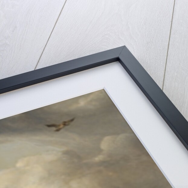 The Bull, 1647 by Paulus Potter