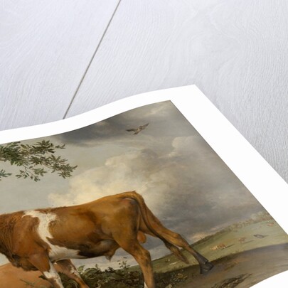 The Bull, 1647 by Paulus Potter