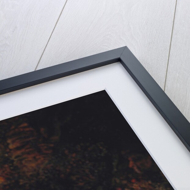 Susanna and the Elders, 1636 by Rembrandt Harmensz. van Rijn