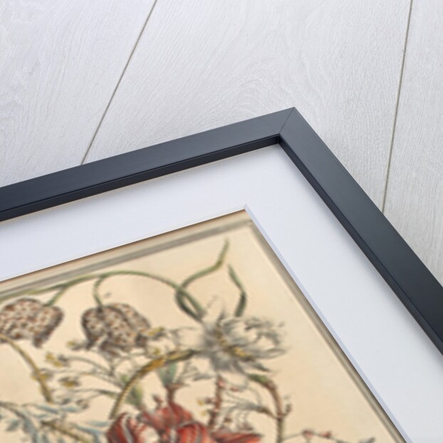 March by Pieter (after) Casteels