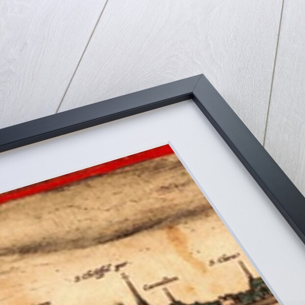 View of Mainz, 1572 by Georg and Hogenberg Franz Braun