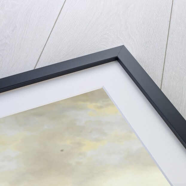 The Canal at Graveland, 1818 by Pieter Gerardus van Os