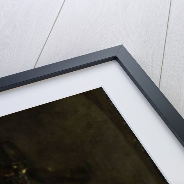 Still Life with Silver Ewe, c.1655-60 by Willem Kalf