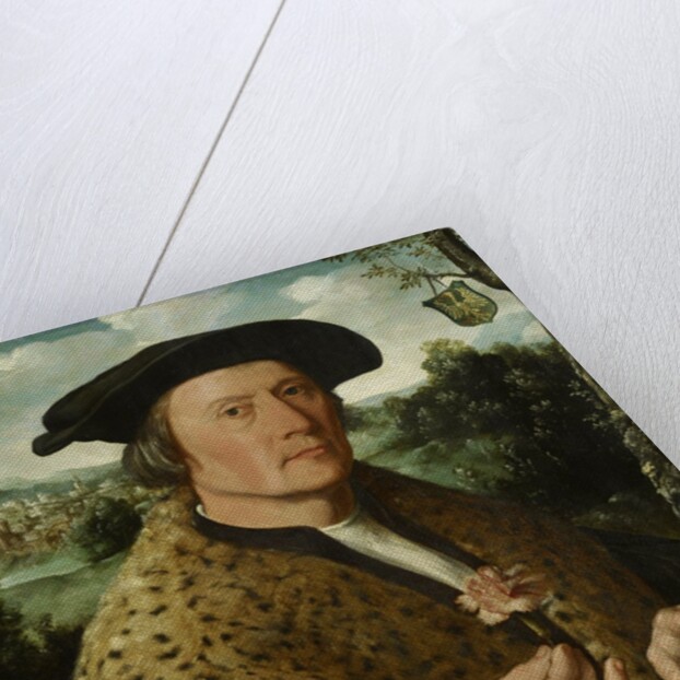 Portrait of Pompeius Occo, c. 1531 by Dirk Jacobsz