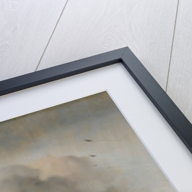 The Grey Horse, c.1646 by Philips Wouwermans or Wouwerman