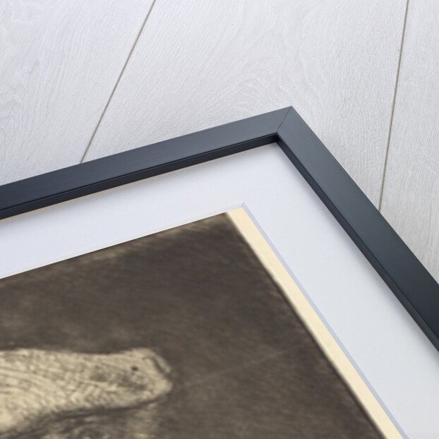 Self-Portrait, c.1890 by Camille Pissarro