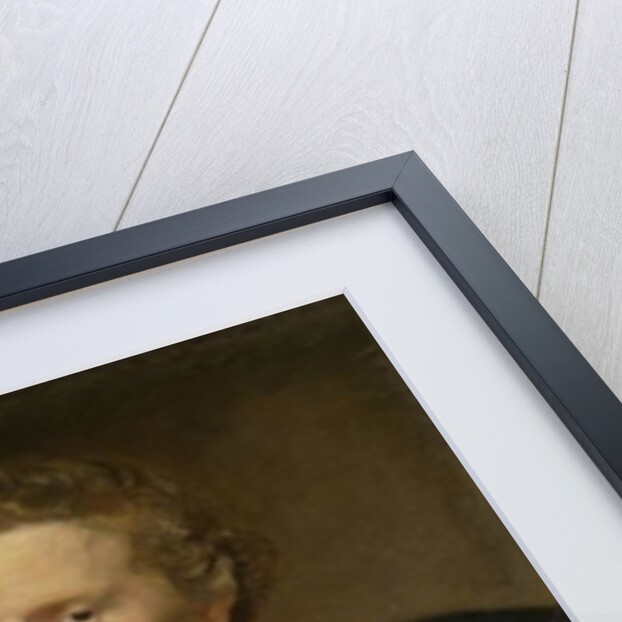 Portrait of Johannes Baptista Franck, c.1621 by Anthony van Dyck