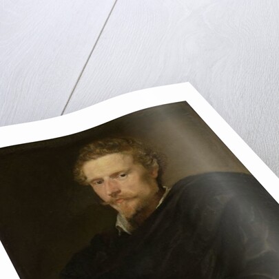 Portrait of Johannes Baptista Franck, c.1621 by Anthony van Dyck