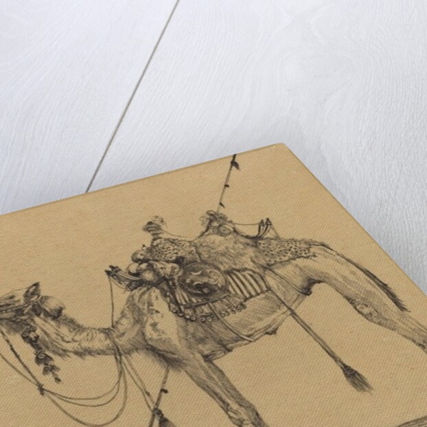 The Camel by Rodolphe Bresdin