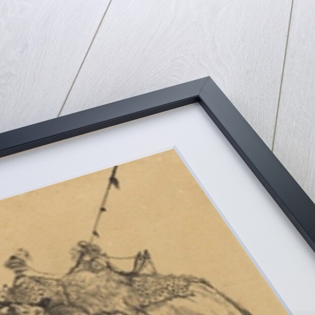 The Camel by Rodolphe Bresdin