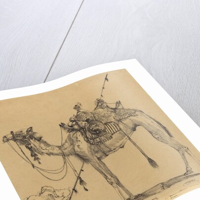 The Camel by Rodolphe Bresdin