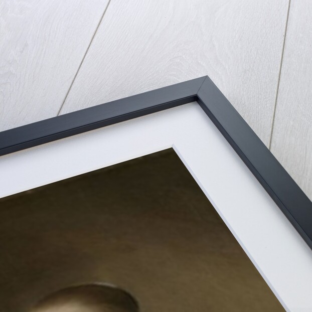 Portrait of a Girl Dressed in Blue, 1641 by Johannes Cornelisz. Verspronck