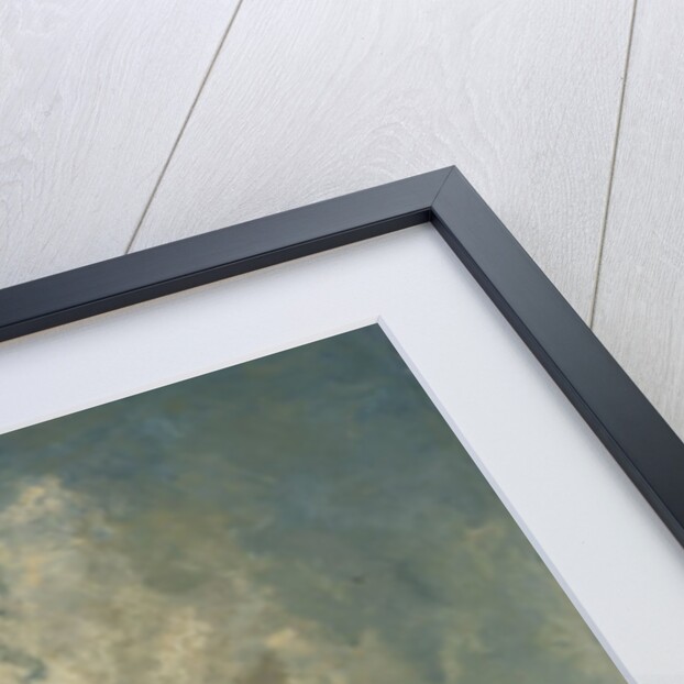 A Windmill on a Polder Waterway, known as In the Month of July, c.1889 by Paul Joseph Constantin Gabriel