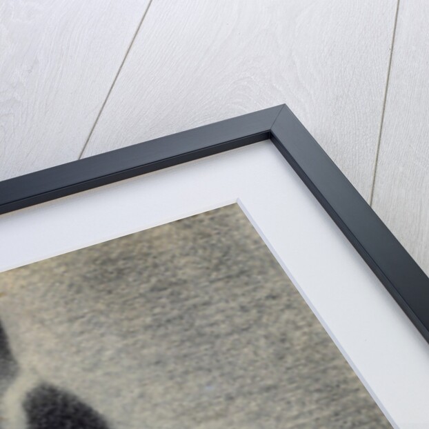 A Woman Fishing, 1884 by Georges Pierre Seurat