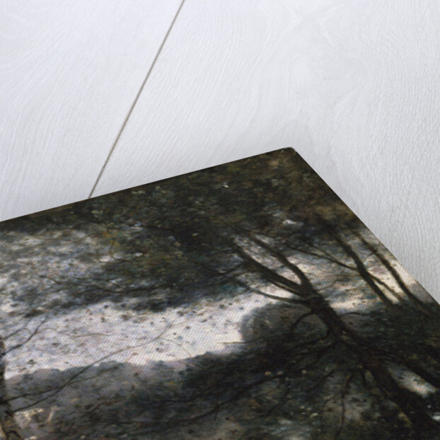 Ville d'Avray, 1870 by Jean Baptiste Camille Corot