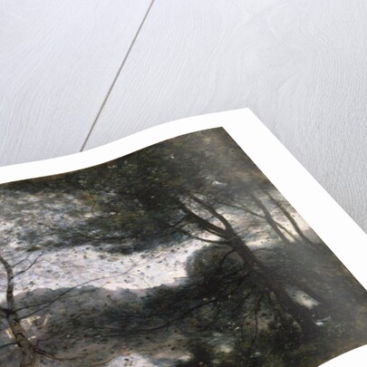 Ville d'Avray, 1870 by Jean Baptiste Camille Corot