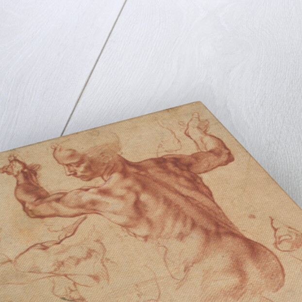 Studies for the Libyan Sibyl, c.1510-11 by Michelangelo Buonarroti