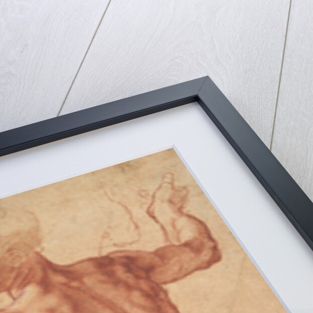 Studies for the Libyan Sibyl, c.1510-11 by Michelangelo Buonarroti