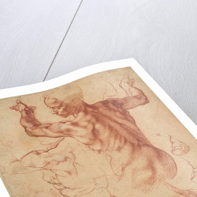 Studies for the Libyan Sibyl, c.1510-11 by Michelangelo Buonarroti