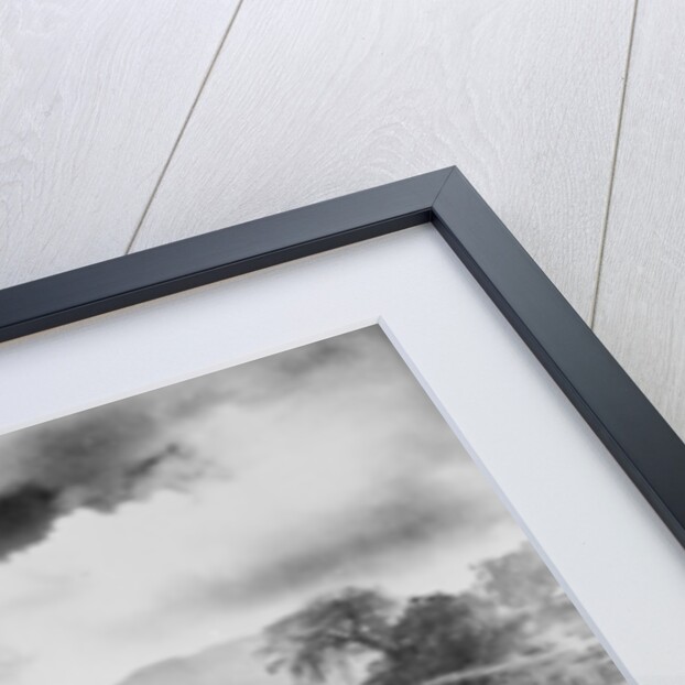 Rice terraces carved out of the hillsides hundreds of years ago by Ifuago farmers, Philippine Islands, c.1890-1923 by Anonymous