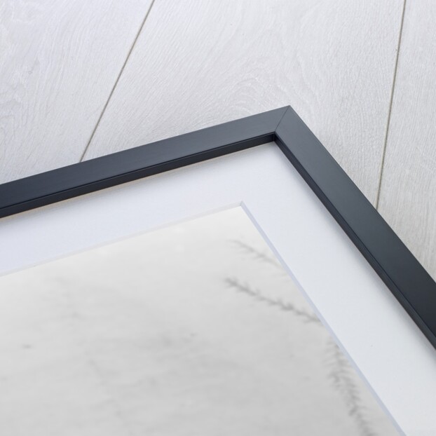 India, Fakir with monkeys, c.1890-1925 by Anonymous