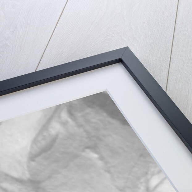 Climbing Mt. McKinley, c.1900-23 by Anonymous