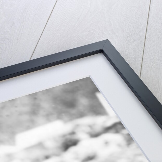 Girl and bear cub, c.1900-16 by Anonymous