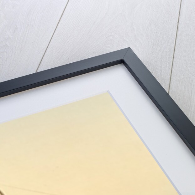 Steamship 'Normannia', Algeria, c.1899 by Anonymous