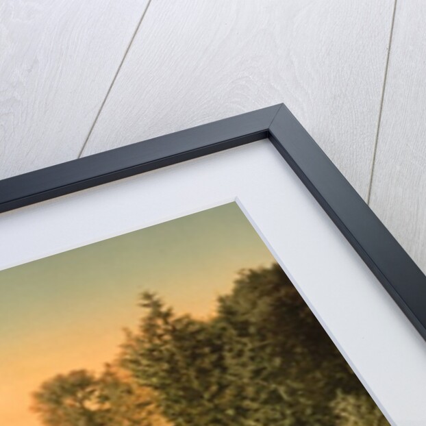 Bois du Boulougne, the lake, Paris, France, c.1890-1900 by Anonymous