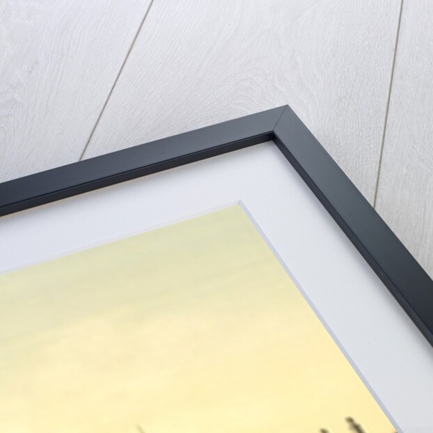 The Pavilions of the Nations, II, Exposition Universal, Paris, France, c.1890-1900 by Anonymous