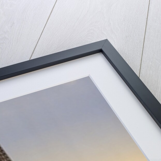 Eiffel Tower, full-view, looking toward the Palais du Trocadéro, Paris, France, c.1890-c.1900 by Anonymous