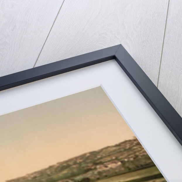General view and Benezech or Benezet Bridge, Avignon, Provence, France, c.1890-c.1900 by Anonymous