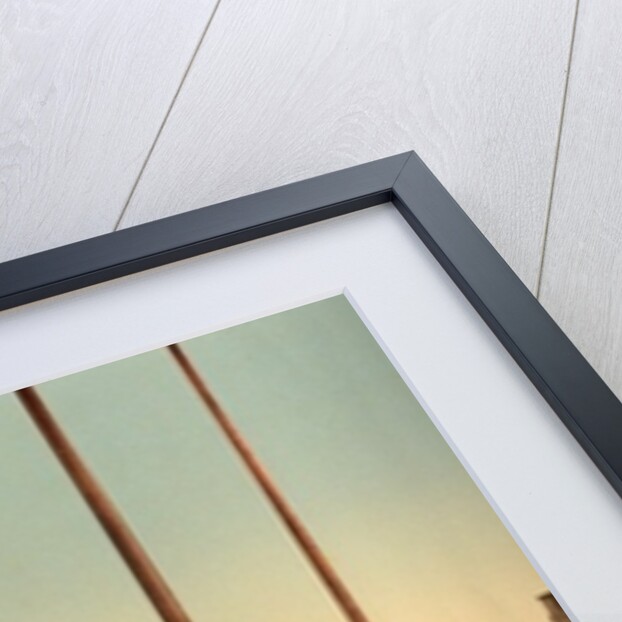 Pigeons in St. Mark's Place, Venice, Italy, c.1890-c.1900 by Anonymous