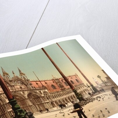 Pigeons in St. Mark's Place, Venice, Italy, c.1890-c.1900 by Anonymous